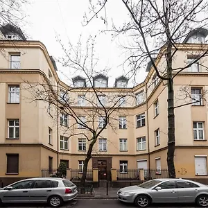 Bingi Krakow